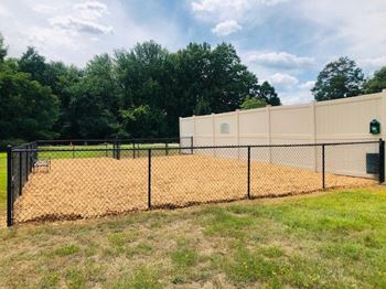 Dog park